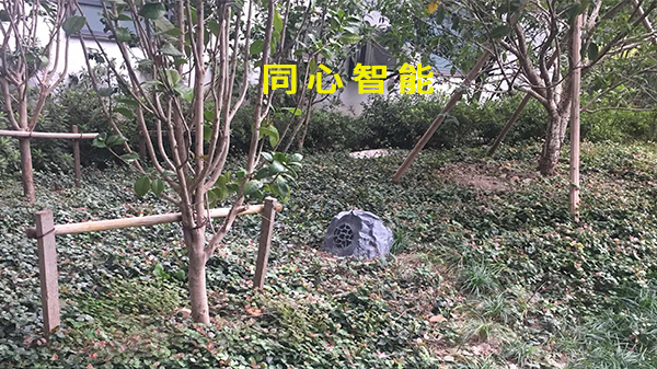 91香蕉视频APP下载轻量版IOS助力活动