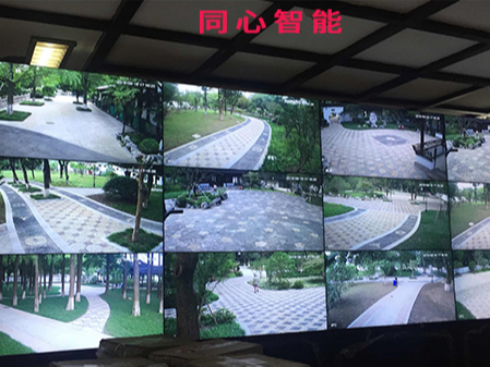 91香蕉视频APP下载轻量版IOS助力某园活动顺利结束