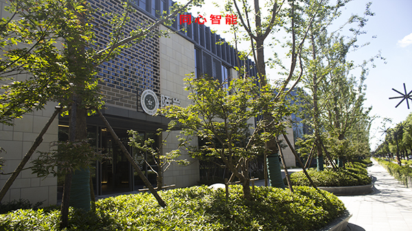 91香蕉视频APP下载轻量版IOS虹祺路商业街建设智能化
